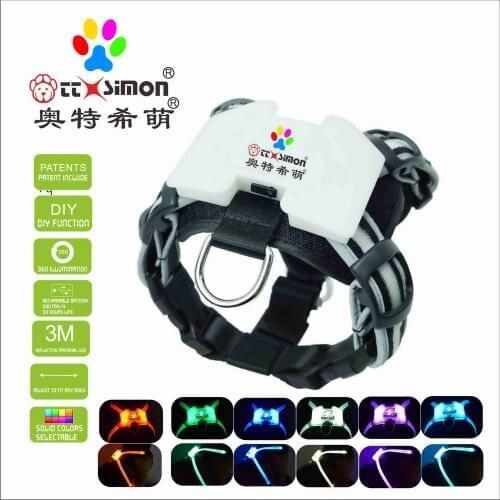 CC Simon Dogled Led Light Dog Collar Charging PET Accessories Reflective Harnesses 2021