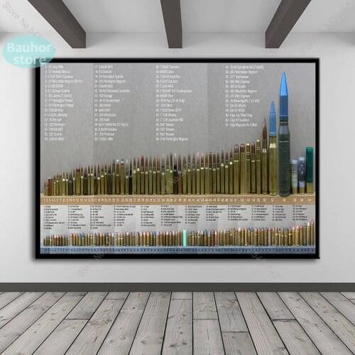 Bore Bullets Chart Details Poster Canvas Painting Posters and Prints Hot Wall Art Picture for Living Room Home Mural Decoration