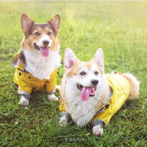 DSOFT Pet Raincoat Soft Waterproof Jacket Dog Raincoat Fashion Small Medium Large Dogs Windbreaker Sport Hoodies