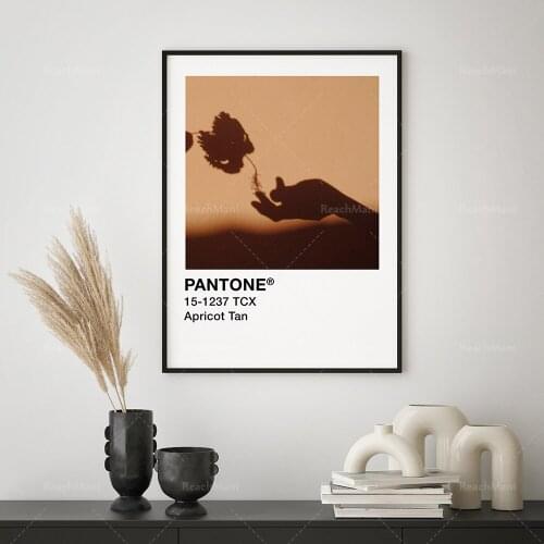 Pantone Poster Apricot Brown Print | Aesthetic Poster | Shadow Puppet Printing | Orange Wall Art | Apricot Color Pass Poster | P