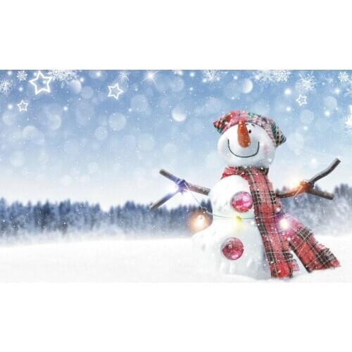 Winter Forest Photography Backdrop Snowy Forest Snowman Background Bokeh Natural Snowflake Xmas Party Decoration Photo Booth