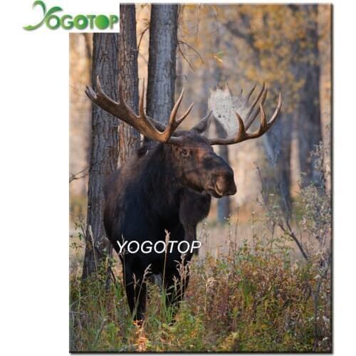 Full Square Round Drill 5D DIY Diamond Painting bull moose Embroidery diamond Cross Stitch elk 5D Rhinestone painting YY2995