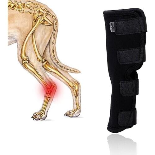 Dog Leg Guards Pet Injured Legs Anti-licking Joints Fixed Recovery Straps Wrapped Leg Braces Dog Supplies Pet Products