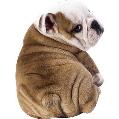 Dog Cat Animal Summer Quilt Blankets Cartoon Bedding Sofa Throw Blanket Bulldog Bed Cover Plaids Bedspreads Home Textile