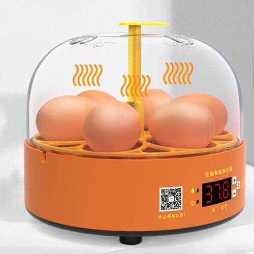 NEW Mini Digital 6 Eggs Incubator Automatic Temperature Brooder Chicken Duck Bird Egg Hatcher Farm Poultry Hatchery Machine