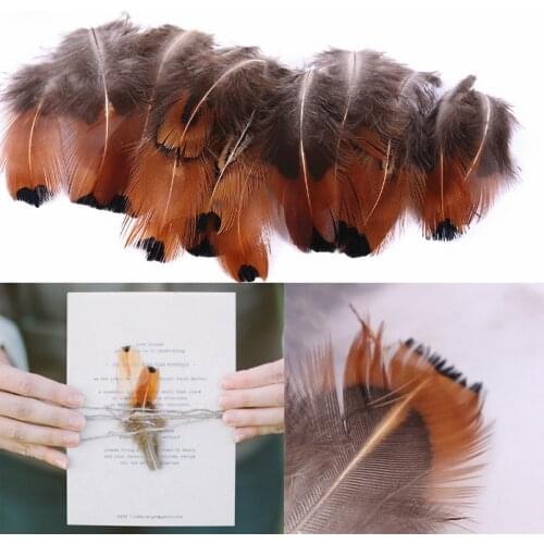 APRICOT 50pcs/lot 4-8cm Natural Feathers Wedding Invitations Decor Wedding Decoration Party Accessories DIY Decor Feathers