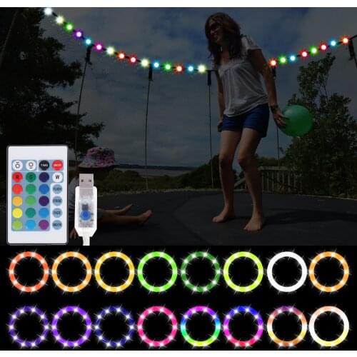 LED Rope String Lights with Remote and 100 Pieces Nylon Cable Ties LED Strip Lig