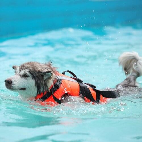 Pet Vest Swimming Jackets Floatation Swimsuit Preserver Buoyancy Rescue Handle Puppy Life Saver Harness Dog Life Jacket Safety
