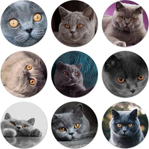 British Shorthair cat Icons Pins Badge Decoration Brooches Metal Badges For Backpack Decoration 58mm