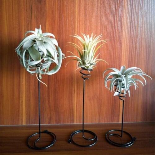 X7AB Air Plant Holder 3 Sizes Air Plants Container Iron Flower Stand Tillandsia Holder for Displaying Home Office Decor