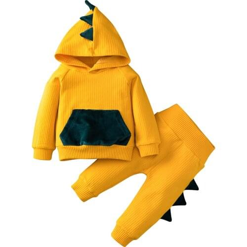 Baby Boys Long Sleeve Trousers Suit Lovely Dinosaur Hooded Sweatshirt Top Elastic Long Pants Toddler Boy Autumn Clothes 0-24M