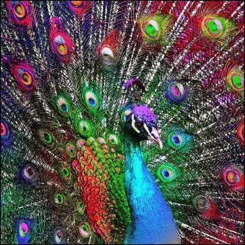 Modern 5d DIY Diamond Painting Full Square Drill Animals Colorful Peacock Picture Mosaic Diamond Crystal Embroidery Cross Stitch