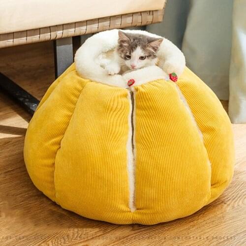 Cat Pillows RobbieT China