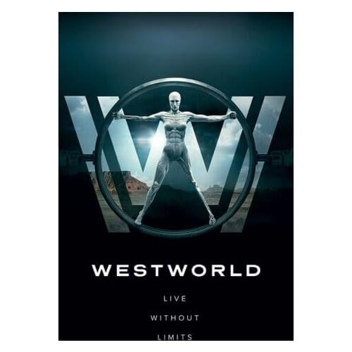 WESTWORLD - TV SHOW Art print Silk poster Home Wall Decor