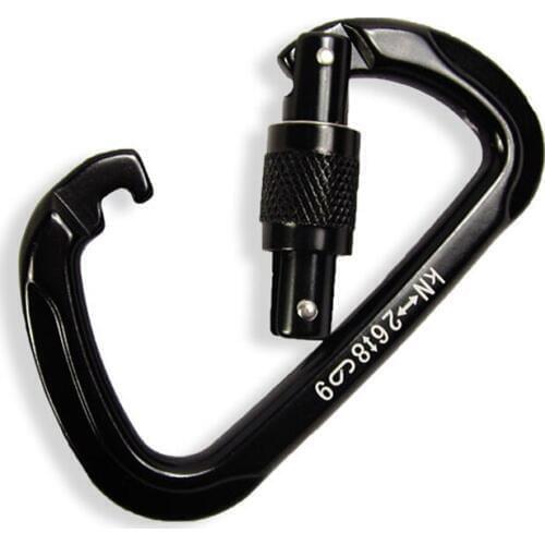 E1101 New arrive outdoor rock climbing D buckle threaded master master lock Outdoor sports climbing supplies