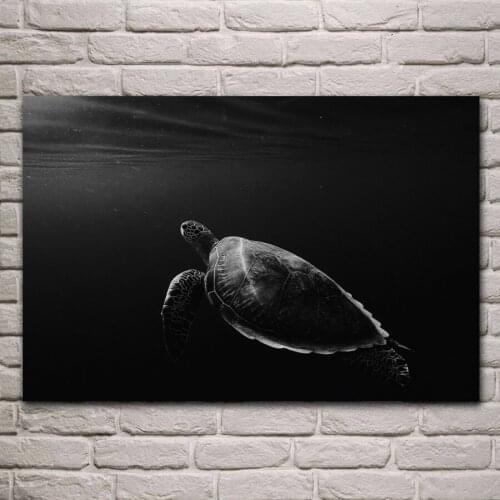 Turtle tortoise underwater animal black white artwork fabric poster living room home wall decorative canvas silk art print KH593