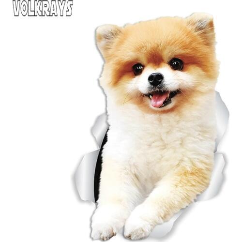 Volkrays Funny German Spitz Pomeranian Dog 3D Sticker Accessories Decal for Car Truck Windshield Window Laptop,15cm*10cm