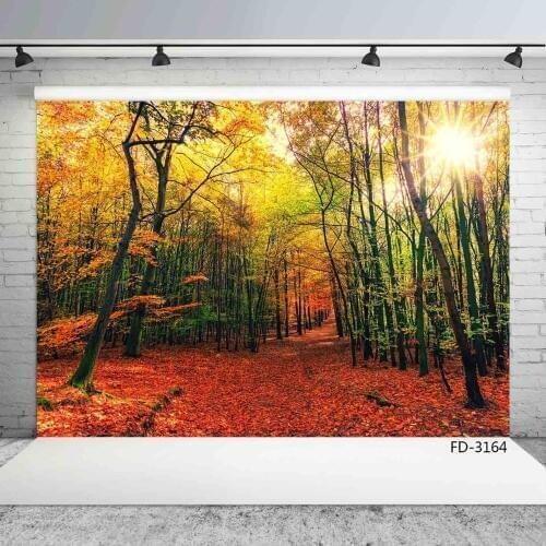 Scenic Maple Leaves Sunshine Autumn Photography Background Custom Backdrop Photo Studio for Baby Children Portrait Photophone