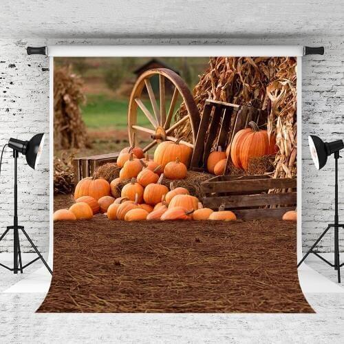 VinylBDS 5X7FT Thanksgiving Studio Background Pumpkin Photography Backdrops Children Photo Background