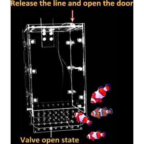 Acrylic Fishing Box Fish Tank Trapping Box Feeder Isolation Box Fresh Water Tank