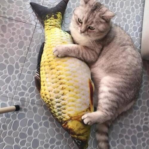 Cat Toy 3D Carp Fish Shape Dog Toy Creative Toy Gift Catnip Fish Stuffed Pillow Doll Simulation Play Toy For Small Cats Petshop
