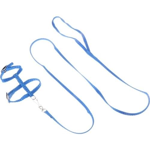 Adjustable Hedgehog Harness For Training Playing Traction Rope Cord For Pets