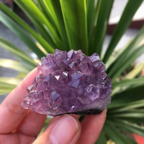 42g Natural Dream Amethyst Quartz Crystal Cluster Specimen Healing