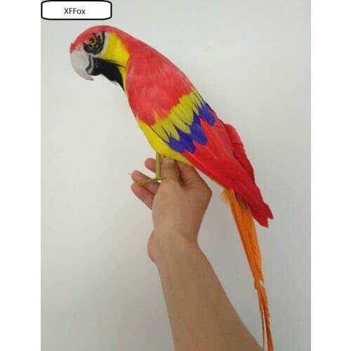 Big real life red parrot model foam&feather simulation turned parrot bird gift about 42cm xf0157