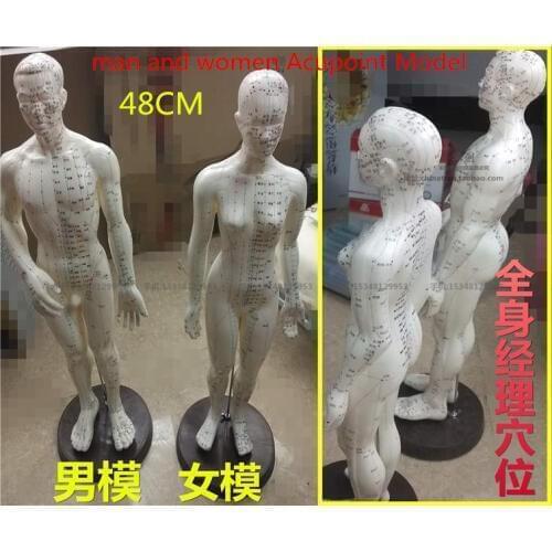 48CM chinese human acupuncture meridian points model male or female acupoint model with user manual man momen Acupoint Model