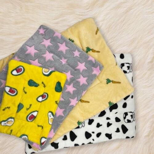 Pet Dog Mats Thickened Pet Soft Blanket For Puppy Dog Cat Winter Warm Pet Sofa Cushion Sleeping Blanket Pet Dog Supplies