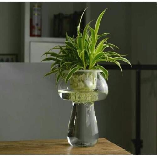 1PC New Creative transparent glass mushroom garden vase Vase Decoration culture Home Furnishing hot selling JY 1195