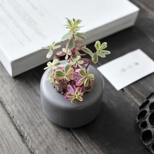 Garden supplies mini garden flowers pots planters colors ceramic office home desktop decorative chinese flower green plant pots