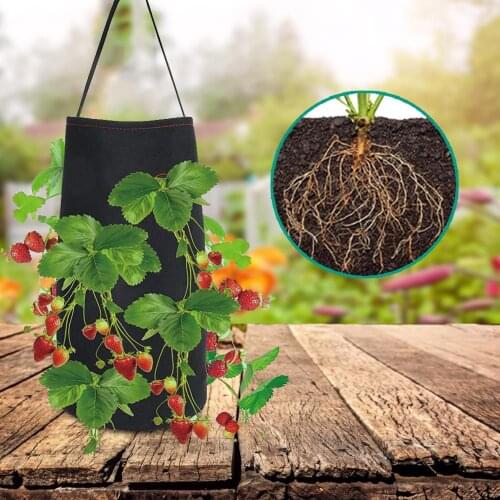 Grow Container Bag DIY Planter PE Fabrics Planting Vegetable Gardening Thicken Pot Planting Grow Bag Garden Tool