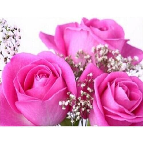 A12271 11CT/14CT/18CT/25CT/28CT oil scenery patterns Counted Cross Stitch DIY Cross Stitch Kits Embroidery Needlework Sets