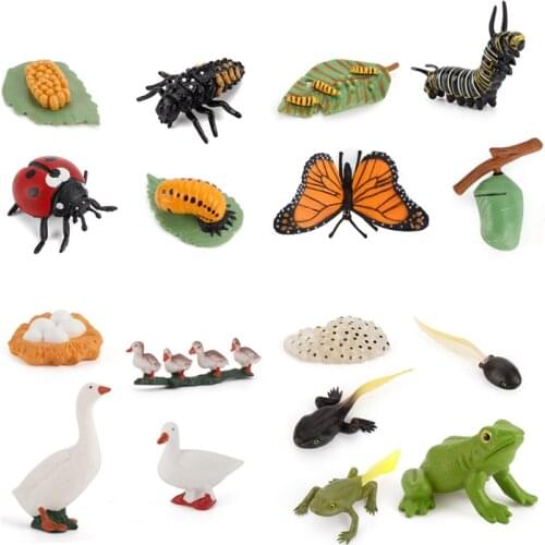 Simulation Miniature Animal Toy Childrens Cognition Chicken Butterfly Plant Growth Cycle Plastic Model Educational Toy Gift