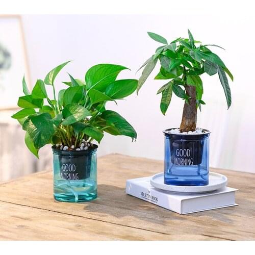 1PCS transparent plant flower pot garden balcony household items soil culture hydroponic flower pot plastic planting box
