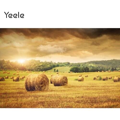 Yeele Autumn Paddy Field Hay Stack Day Portrait Scene Photography Background Baby Child Photographic Backdrop For Photo Studio