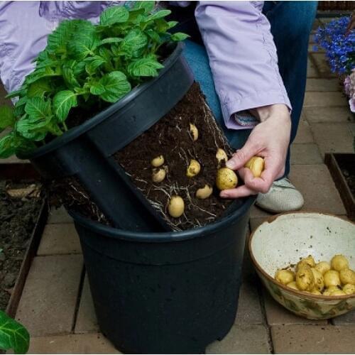 Pocketgarden 1 pcs plastic planter potato pot family garden balcony garden pots of organic vegetables planting bag of potatoes