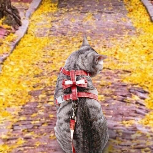 I-shaped Pet Leash Lattice Bow Adjustable Cats Walking Leads Traction Rope Dog Chest Strap Cute Walking Guide String Pet Product