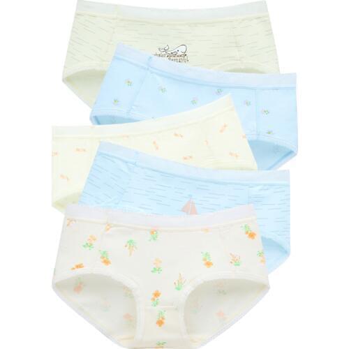 LANGSHA 5Pcs/set New Women Panties Sexy Lace Cotton Underwear Lovely Girls Briefs Plus Size XXL Briefs Ladies Comfort Underpants