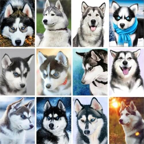 Huacan Diamond Mosaic Dog 5D Diamond Painting Complete Kit Animals Beads Embroidery Modular Pictures Paintings On The Wall