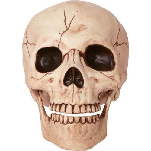 2017 New Fantasy Life Fun Skeleton Skull Free Shipping