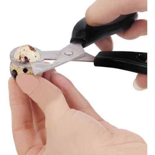Pigeon quail eggs scissors egg cut egg eggshell opener egg knife KF238