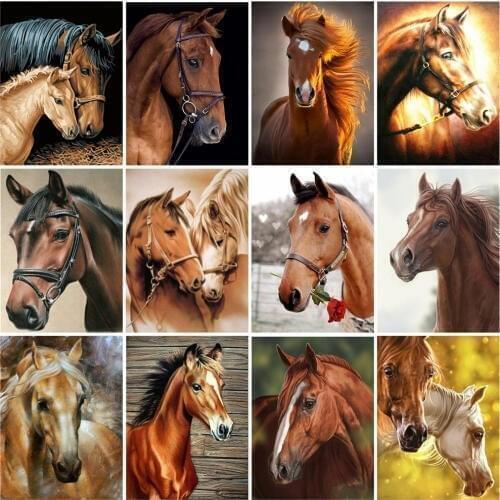 HUACAN Paint By Number Animal Drawing On Canvas DIY Pictures By Numbers Horse Hand Painted Painting Art Gift Kits Home Decor