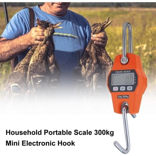 Household Portable Scale 300kg Mini Electronic Hook Portable ScaleKitchen Weight Fishing Tool