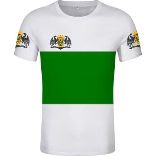 Groningen Provincie Shirt Free Customized Hemd Name Number T-Shirt Fashion Dutch Holland Print Flag Word Blue Netherland Clothes