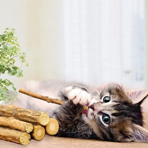 15pcs Cat Cleaning Teeth Natural Catnip Pet Cat Molar Stick Cat Snacks Silvervine Sticks Chew Toy Chew Sticks Increase Appetite