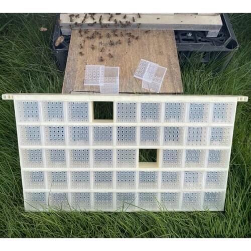 Multifunctional Plastic Queen Bee Storage Device Bee Cage Box for Queen Rearing D2TD