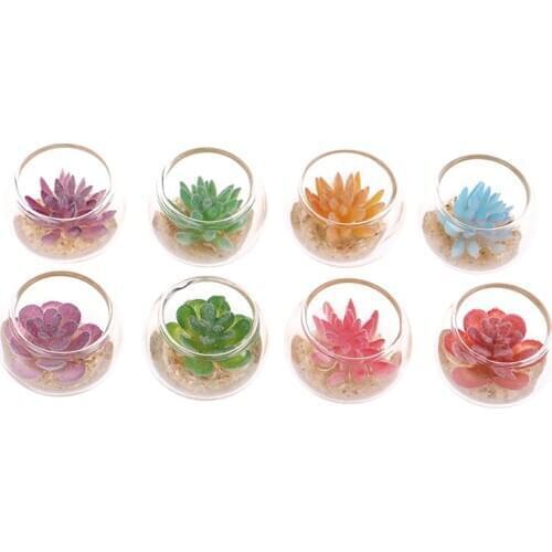 1:12 Dollhouse Miniature Glass Jar Succulent Plants In Pot Furniture Home Decor 26mm*18mm