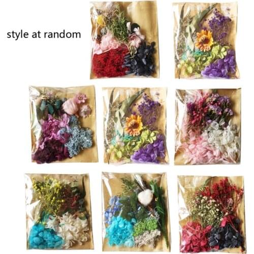 Real Pressed Flower Leaf Dried Daisy Flower Resin Flower Dry Beauty Nail Art Decals Epoxy Mold Fillings Jewelry Making